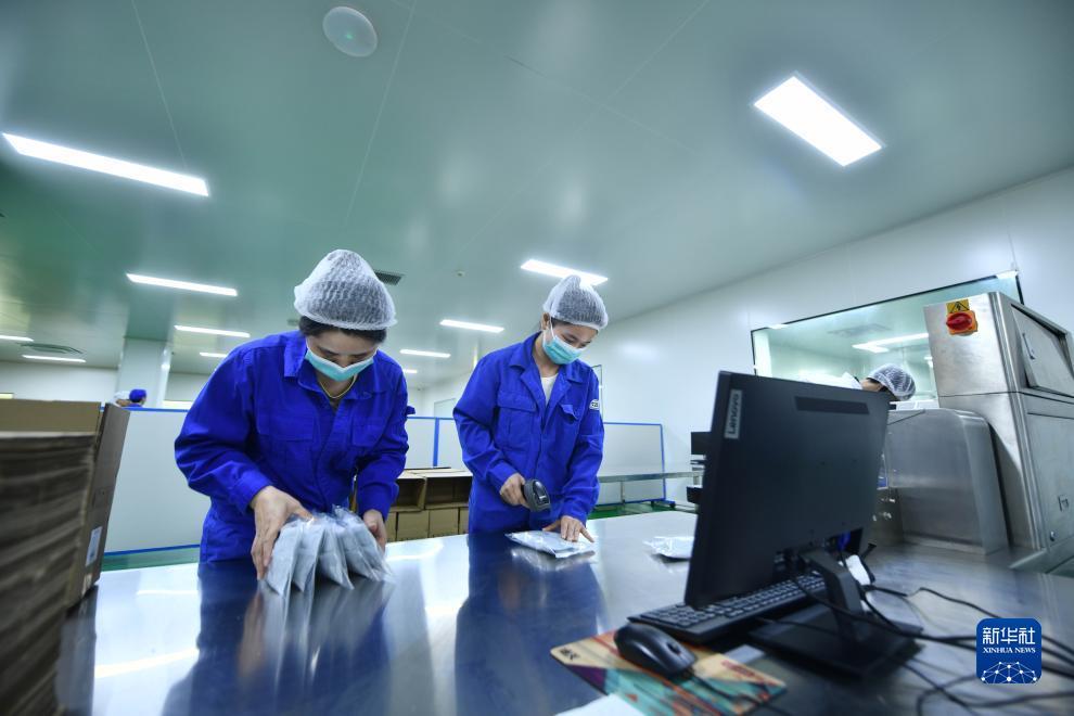 大白菜送彩金